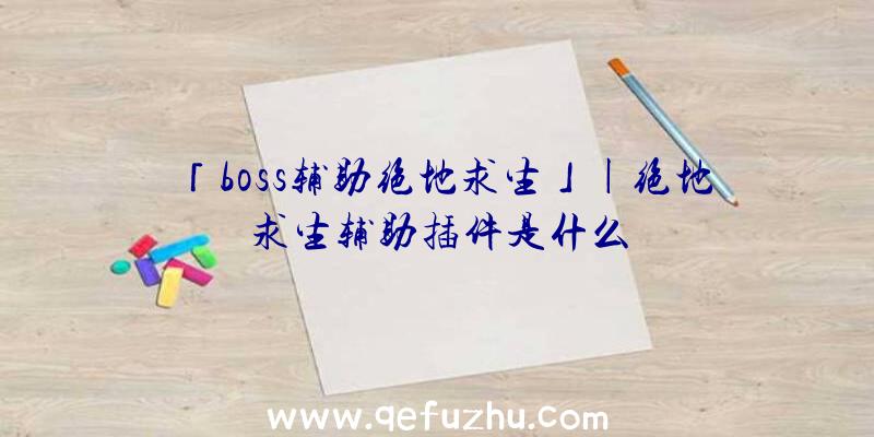 「boss辅助绝地求生」|绝地求生辅助插件是什么